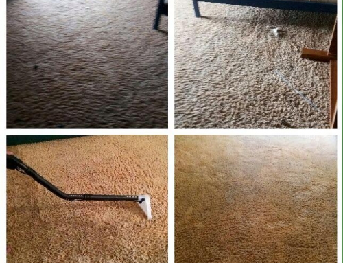 Limpeza de carpetes